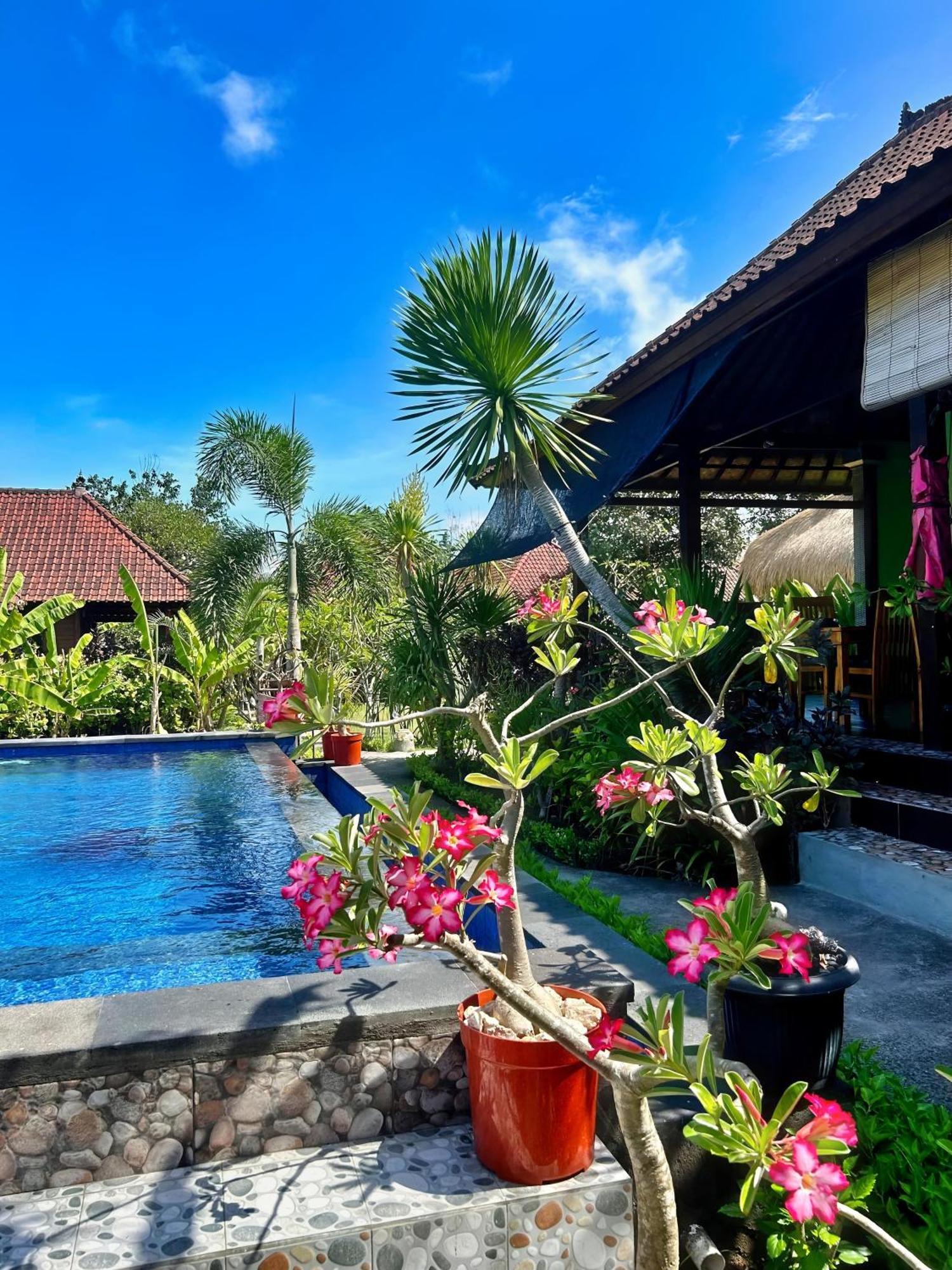 לינה וארוחת בוקר Island Garden Huts Lembongan מראה חיצוני תמונה