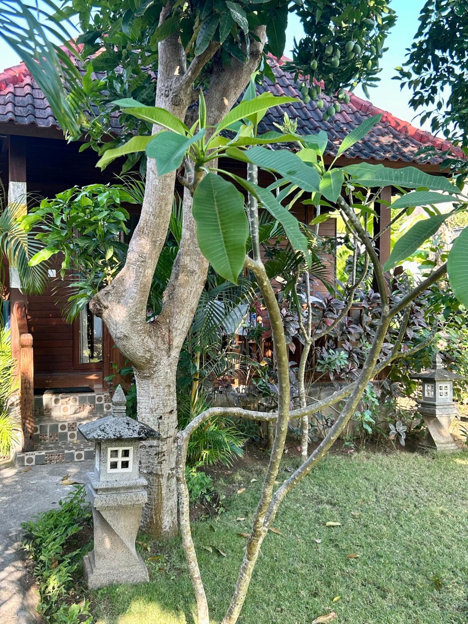 לינה וארוחת בוקר Island Garden Huts Lembongan מראה חיצוני תמונה