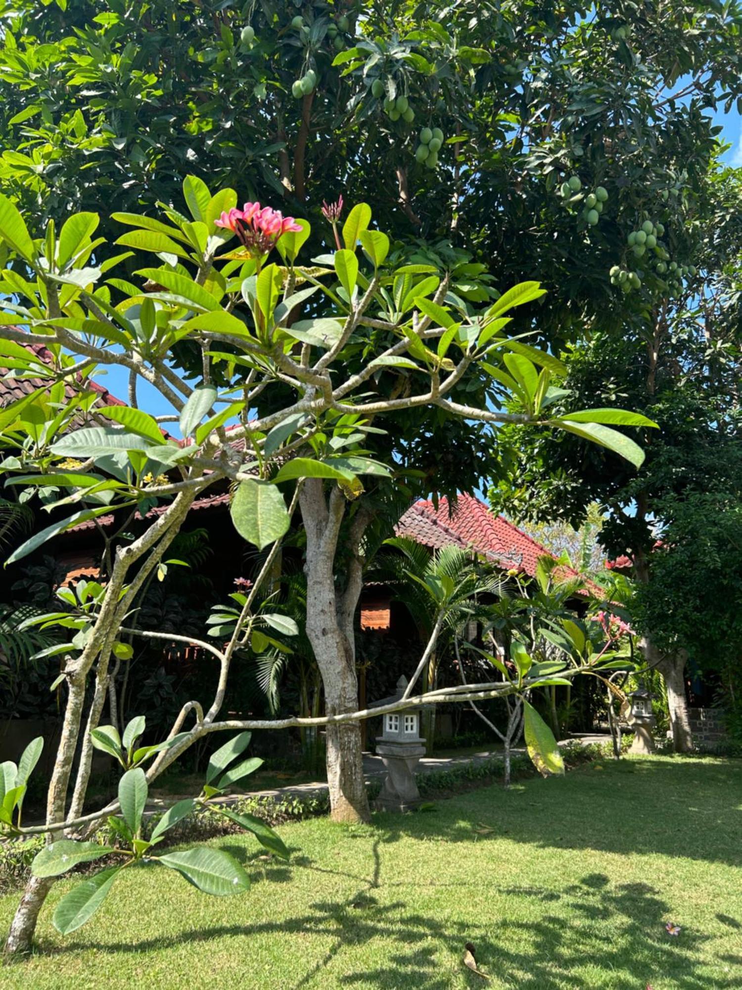 לינה וארוחת בוקר Island Garden Huts Lembongan מראה חיצוני תמונה
