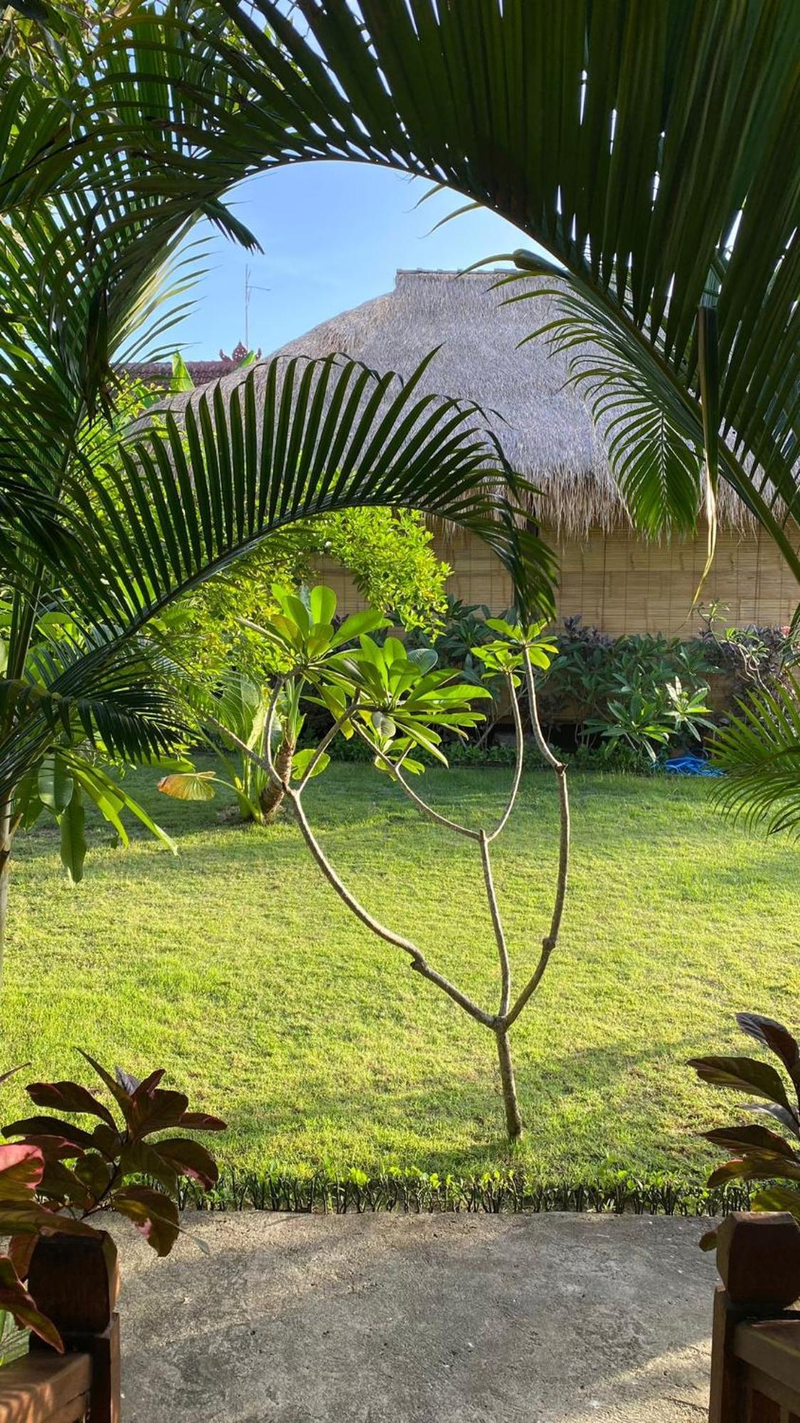 לינה וארוחת בוקר Island Garden Huts Lembongan מראה חיצוני תמונה
