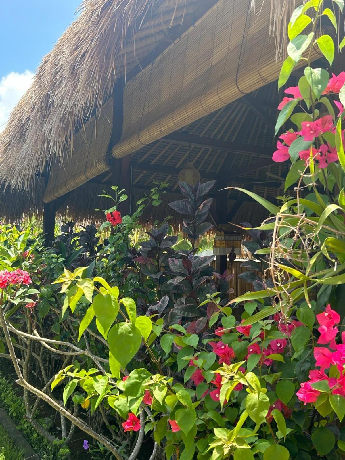 לינה וארוחת בוקר Island Garden Huts Lembongan מראה חיצוני תמונה