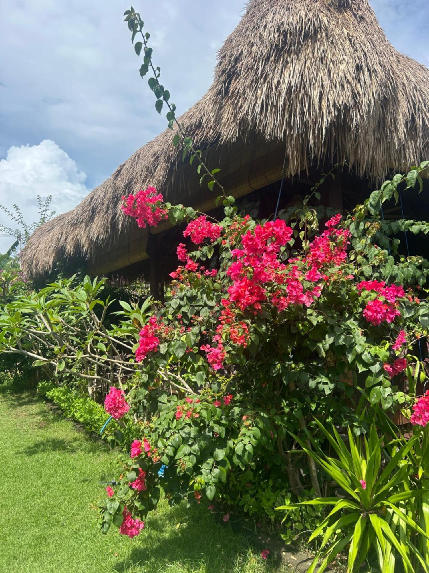 לינה וארוחת בוקר Island Garden Huts Lembongan מראה חיצוני תמונה