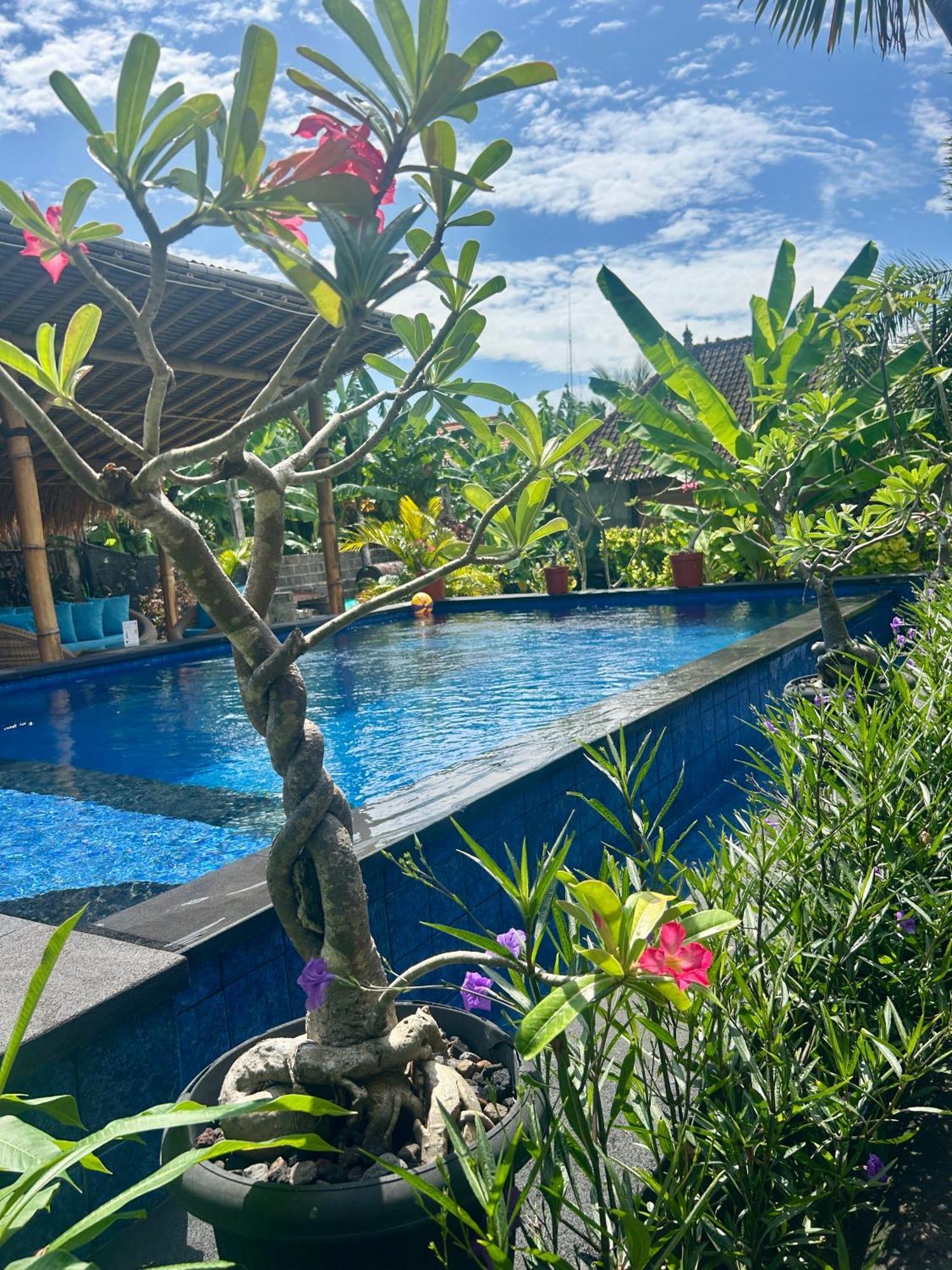 לינה וארוחת בוקר Island Garden Huts Lembongan מראה חיצוני תמונה