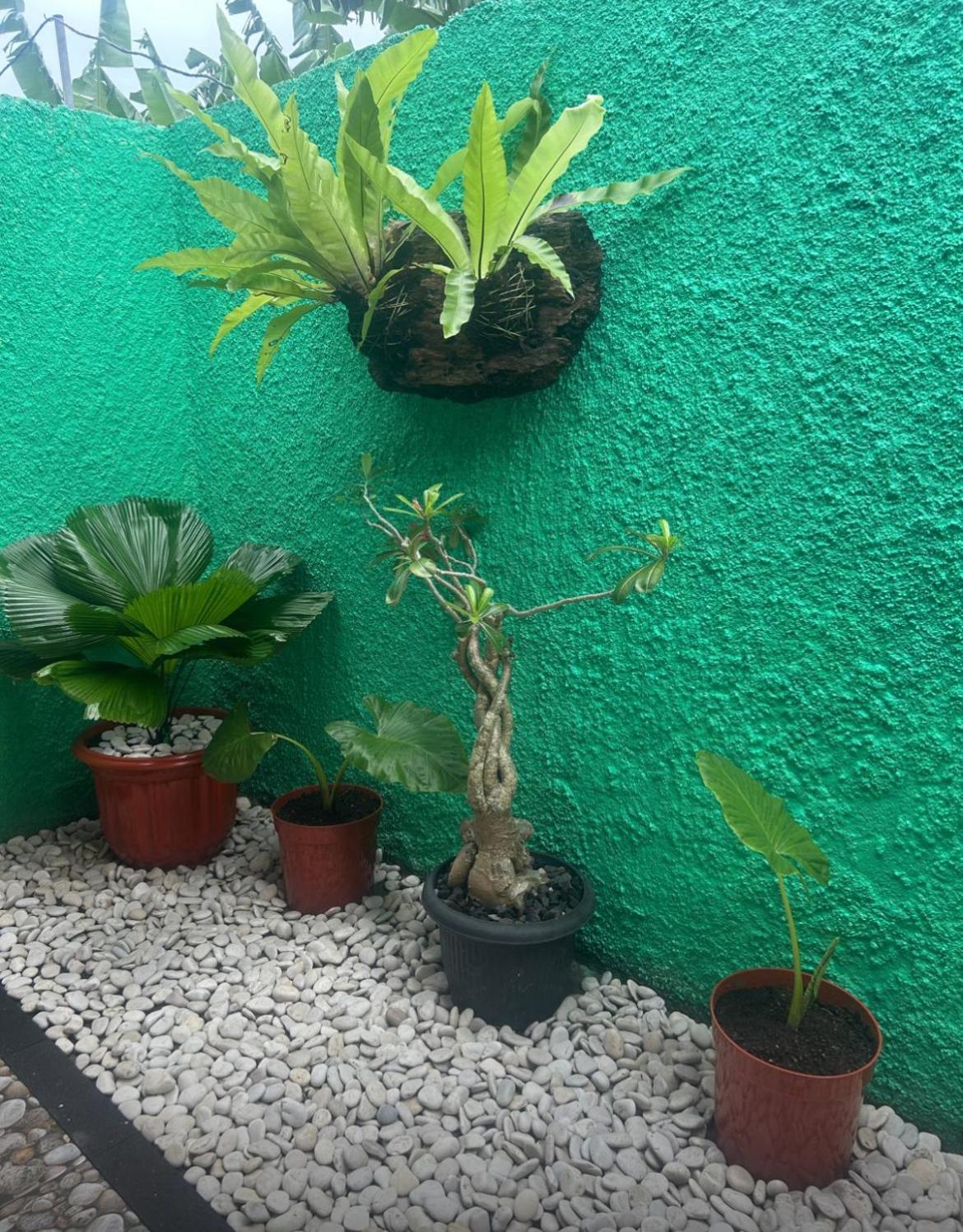 לינה וארוחת בוקר Island Garden Huts Lembongan מראה חיצוני תמונה